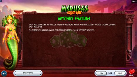 Mystery Feature