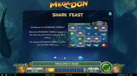 Shark Feast