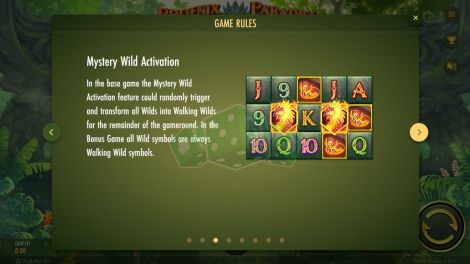 Mystery Wild