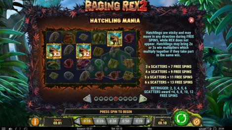 Hatchling Mania