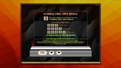 Free Spin Bonus