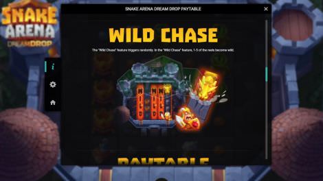 Wild Chase