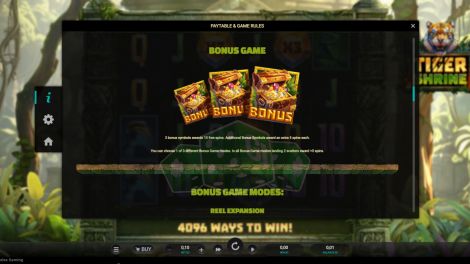 Bonus Game