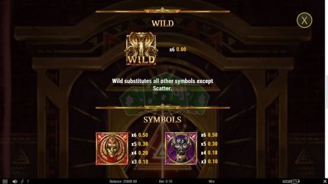 Wild Symbol