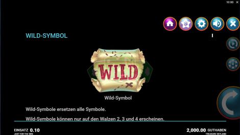 Wild Symbol