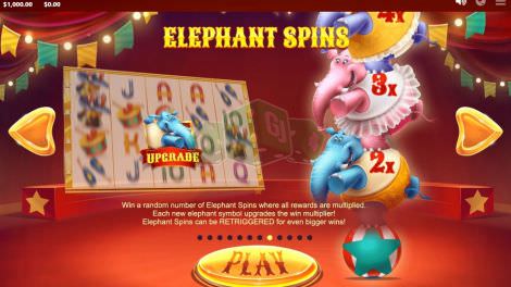 Elephant Spins
