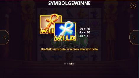 Wild Symbol