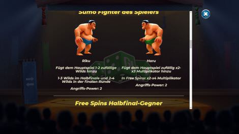 Sumo Fighter