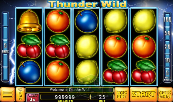 Thunder Wild Cover picture