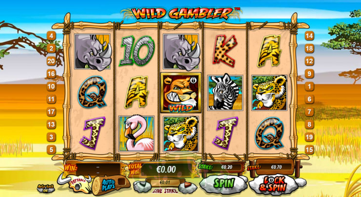 Wild Gambler Cover picture