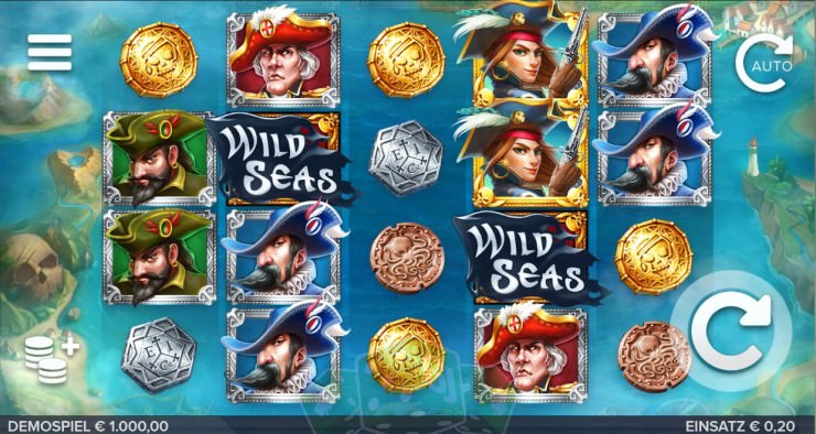 Wild Seas Cover picture