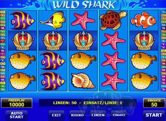 Wild Shark Cover picture
