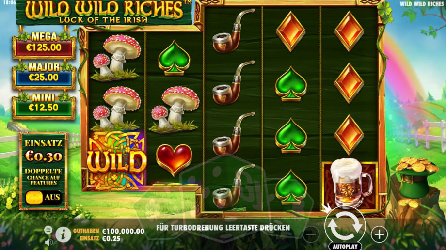 Wild Wild Riches Titelbild