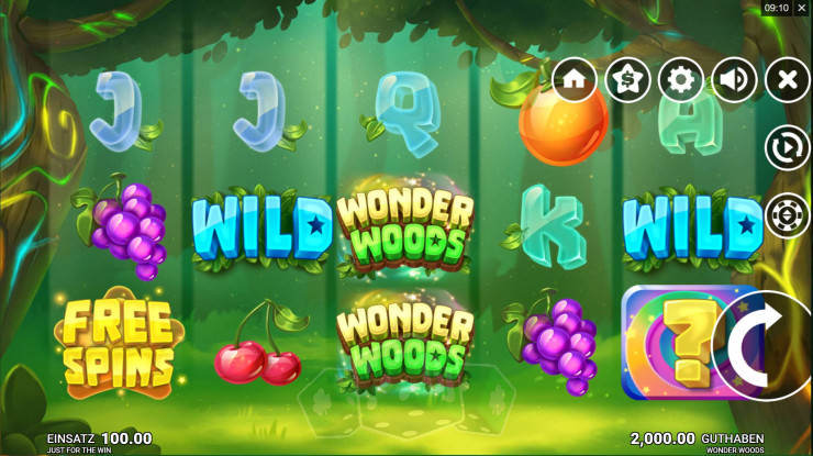 Wonder Woods Cover picture