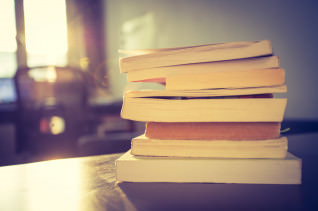 Titelbild zu Die anderen Bücherspiele: Spielautomaten zu bekannten Büchern