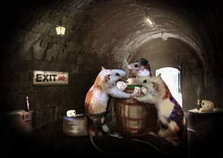 Titelbild zu Tag des Kartenspiels 2017 - die besten Casino Games für den inoffiziellen Feiertag