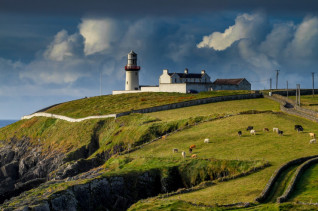 Titelbild zu Irland: Neues Glücksspielgesetz mit strengen Regeln beschlossen