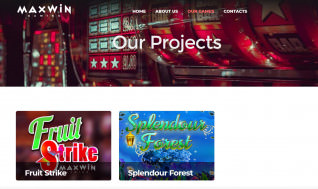 Titelbild zu Vorstellung von Max Win Gaming: Slots und Online Casinos mit den Games