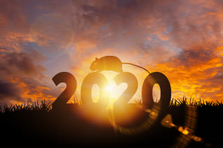 Titelbild zu Neues Jahr, neues Glück: Top- & Flop-Slots von 2019 – im Jahr 2020 neu testen?