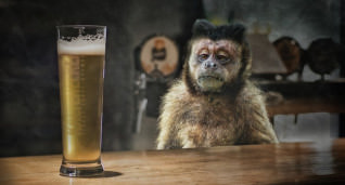 Titelbild zu Sollte Alkohol im Online Casino tabu sein?